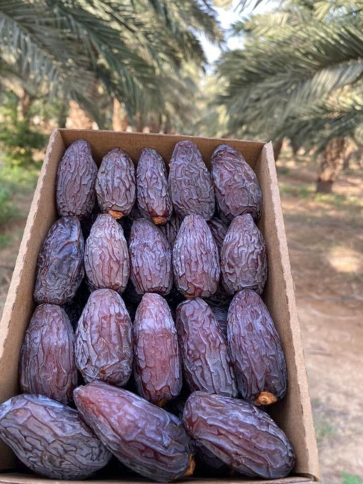 Medjool Dates 2
